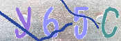 キャプチャ画像