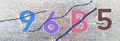 キャプチャ画像