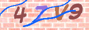 キャプチャ画像