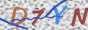キャプチャ画像
