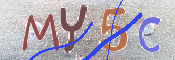 キャプチャ画像