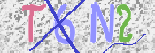 キャプチャ画像