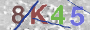 キャプチャ画像