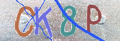 キャプチャ画像