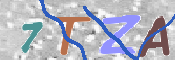 キャプチャ画像